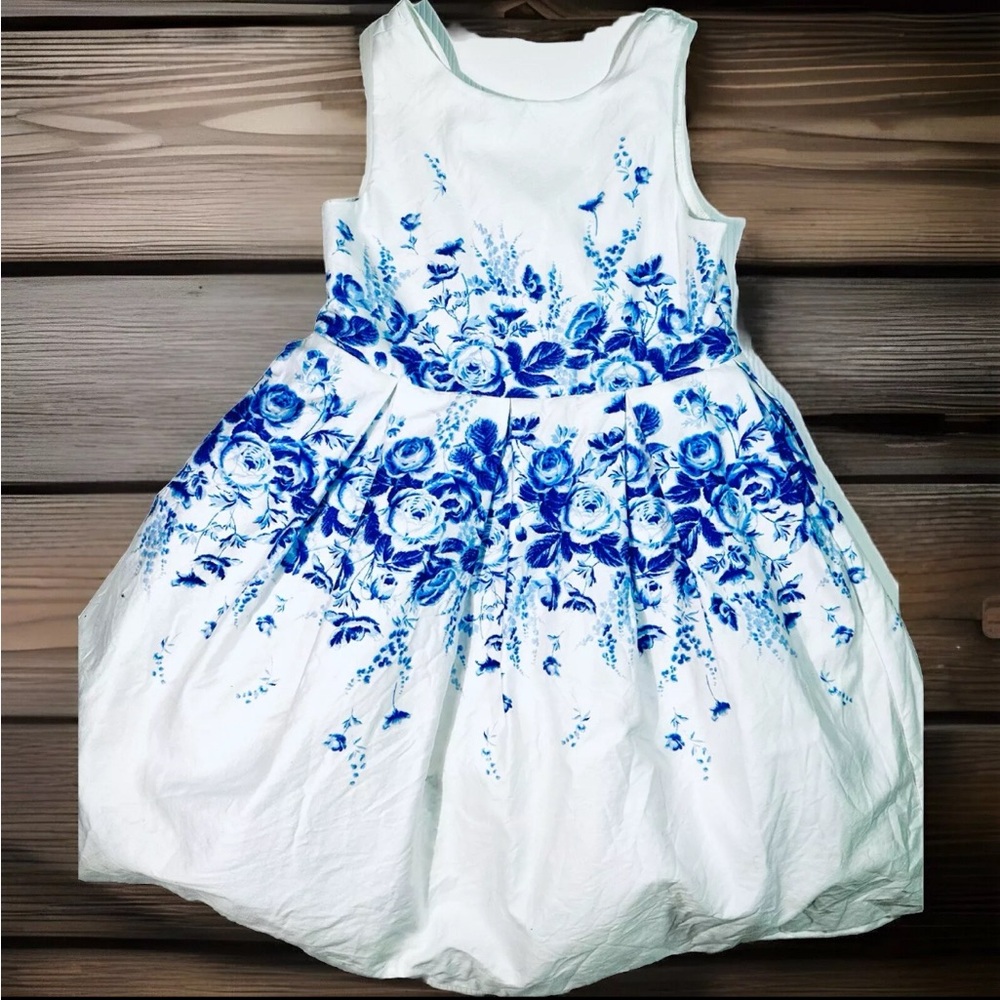 Janie & Jack Blue Rose Floral Tea Party Dress Christmas Holiday 5